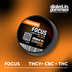 Dialed In Gummies - Rosin - Focus - Blood Orange - 1:1:1 - 100mg