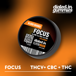 Dialed In Gummies - Rosin - Focus - Blood Orange - 1:1:1 - 100mg