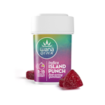 Wana Quick - Gummies - Island Punch - indica - 100mg
