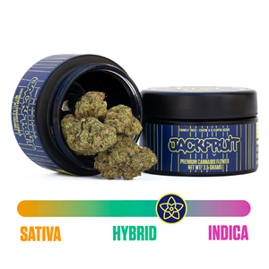 The Flower Collective - Jack Fruit - Farmers Eighth - 4.5g