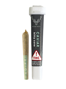 Dadirri - SunRock Bitty - Apricot Scone - Sativa - .5g