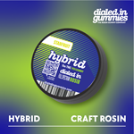 Dialed In Gummies - Rosin - Hybrid - Starfruit - 100mg